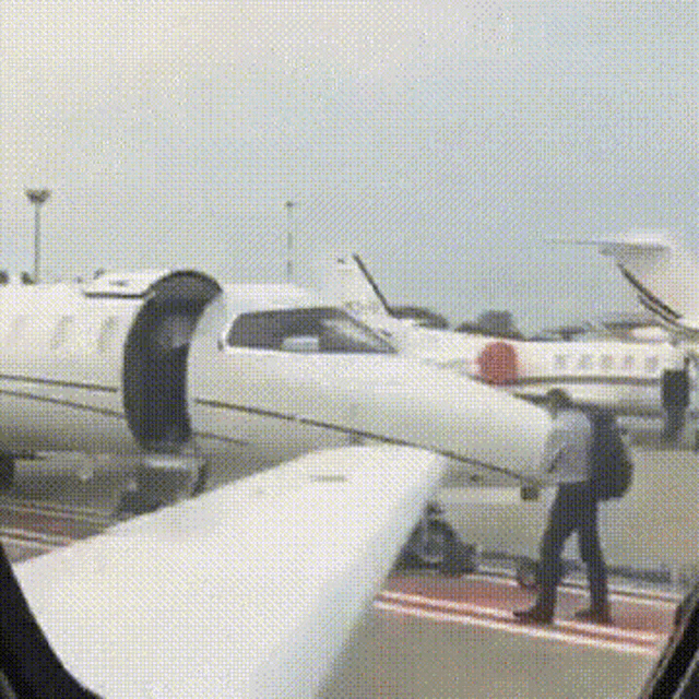 tenor.gif