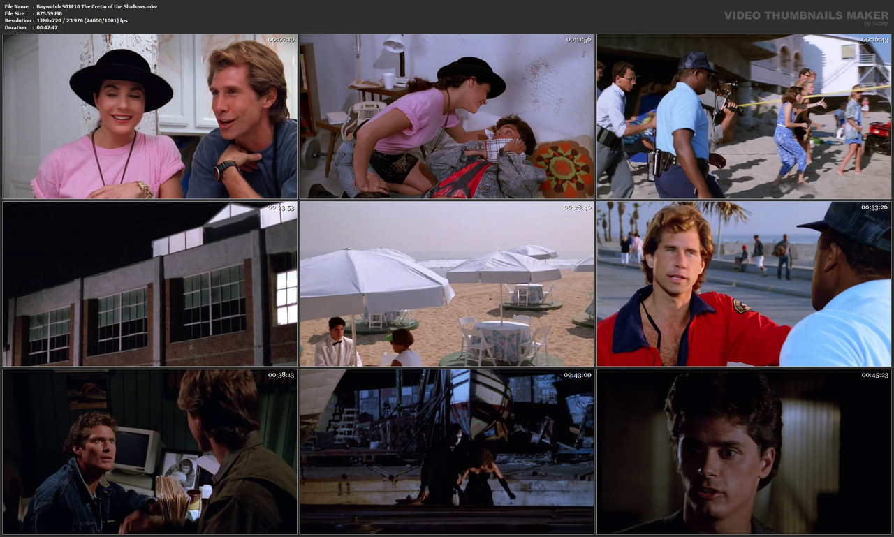 Baywatch S01E10 The Cretin of the Shallows.mkv