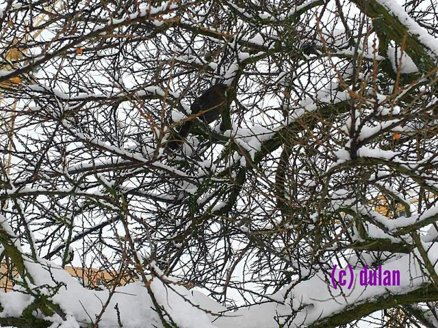 [Image: IMG-20231211-130438.jpg]