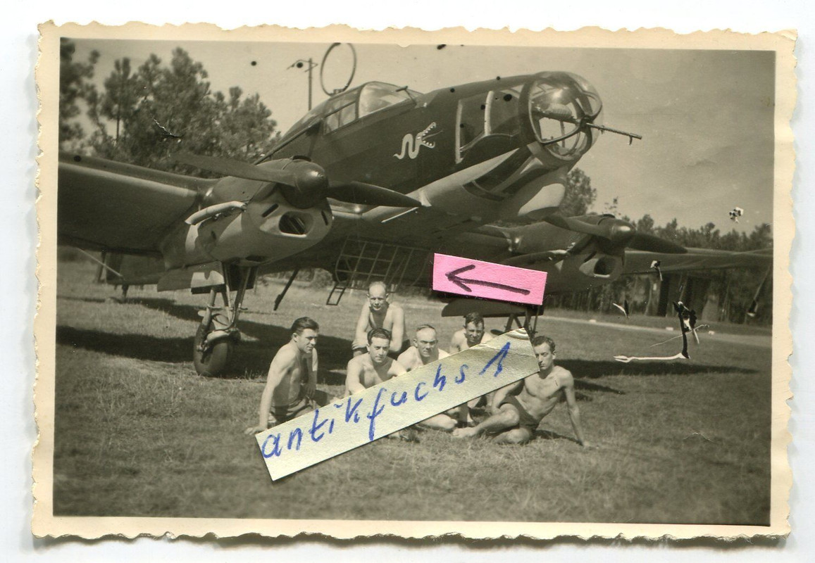 Deut.Militär-Flugzeug  mit Gitter und Tatzelwurm-Wappen