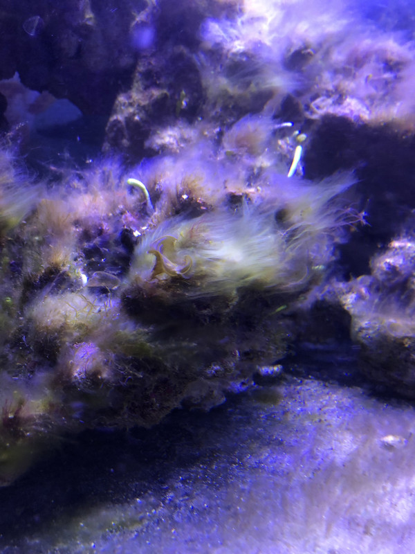 D0D28899-D687-48E6-B65D-EA12EC96788E