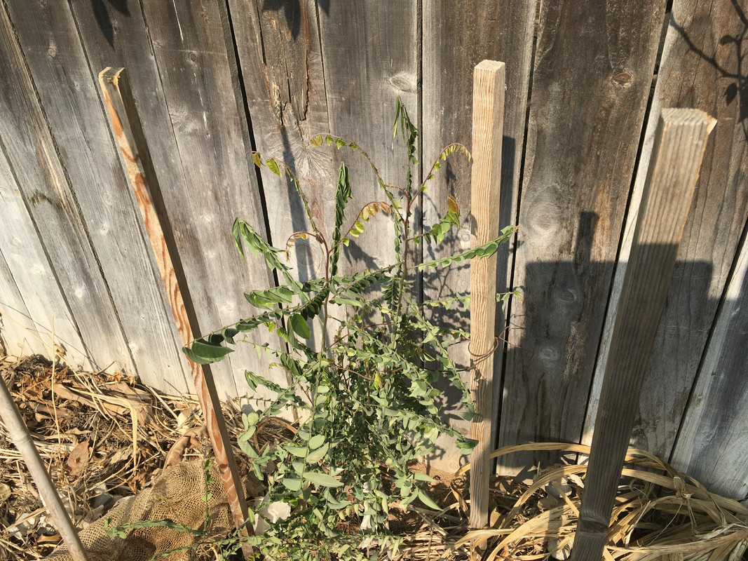 D2AD35B1-9462-46B6-8BF4-780060BFA740