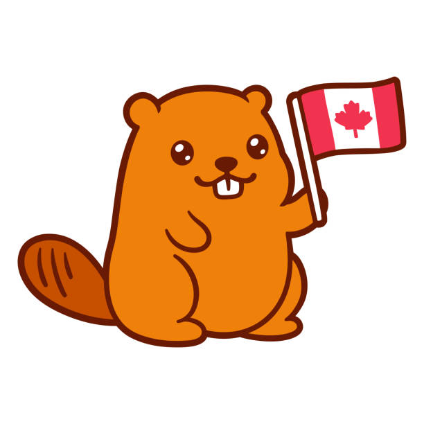 Projeto Canadá