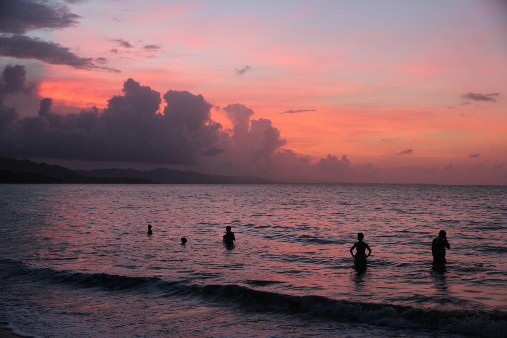 DIA 4: PRIMER DÍA EN PUERTO VIEJO - DE TORTUGAS Y PEREZOSOS. COSTA RICA 2019 (27)