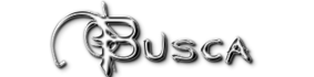 busca