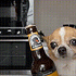 https://i.postimg.cc/V6SKBFgM/0-531.gif