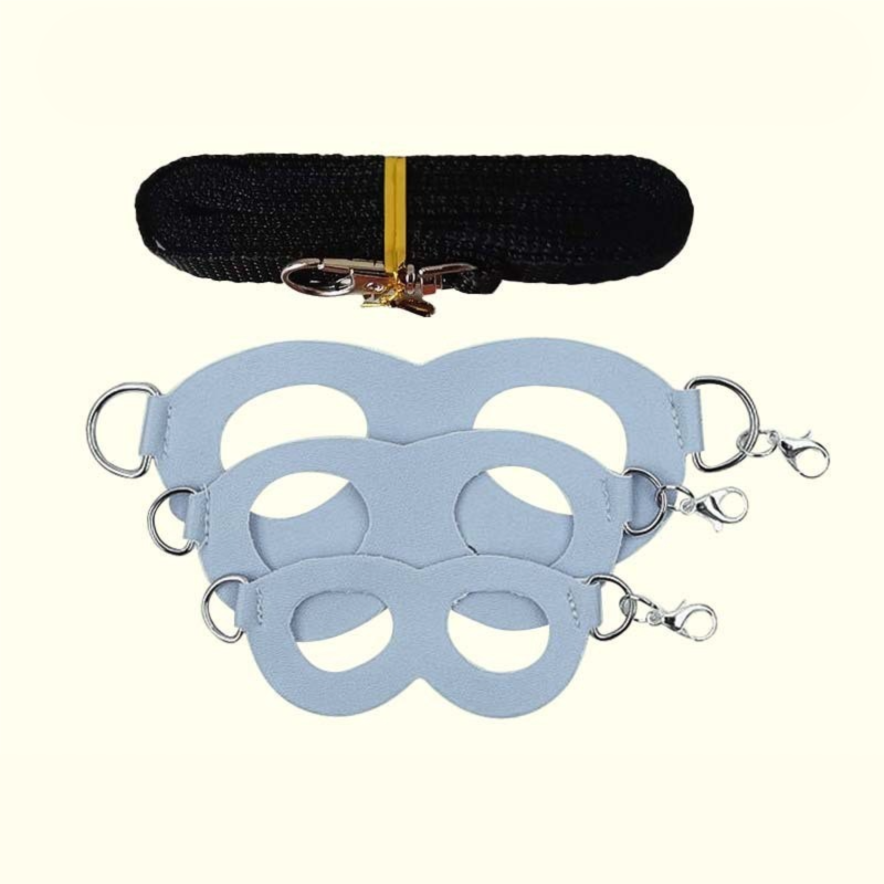 2-Pack Blue Small Mammal Harness Set – 6 Pcs (S/M/L ×2) + 2×1.5m Leashes for Secure Outdoor Handling