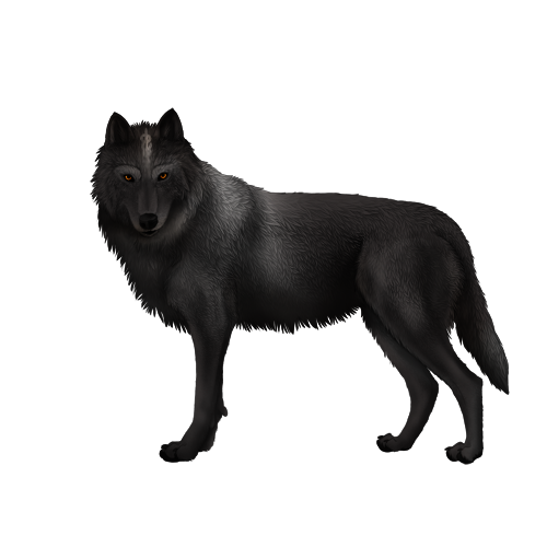 Untitled92-20260713143319.png