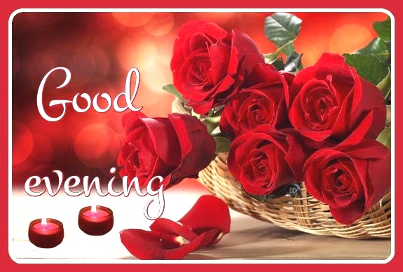 evening-roses-rouges