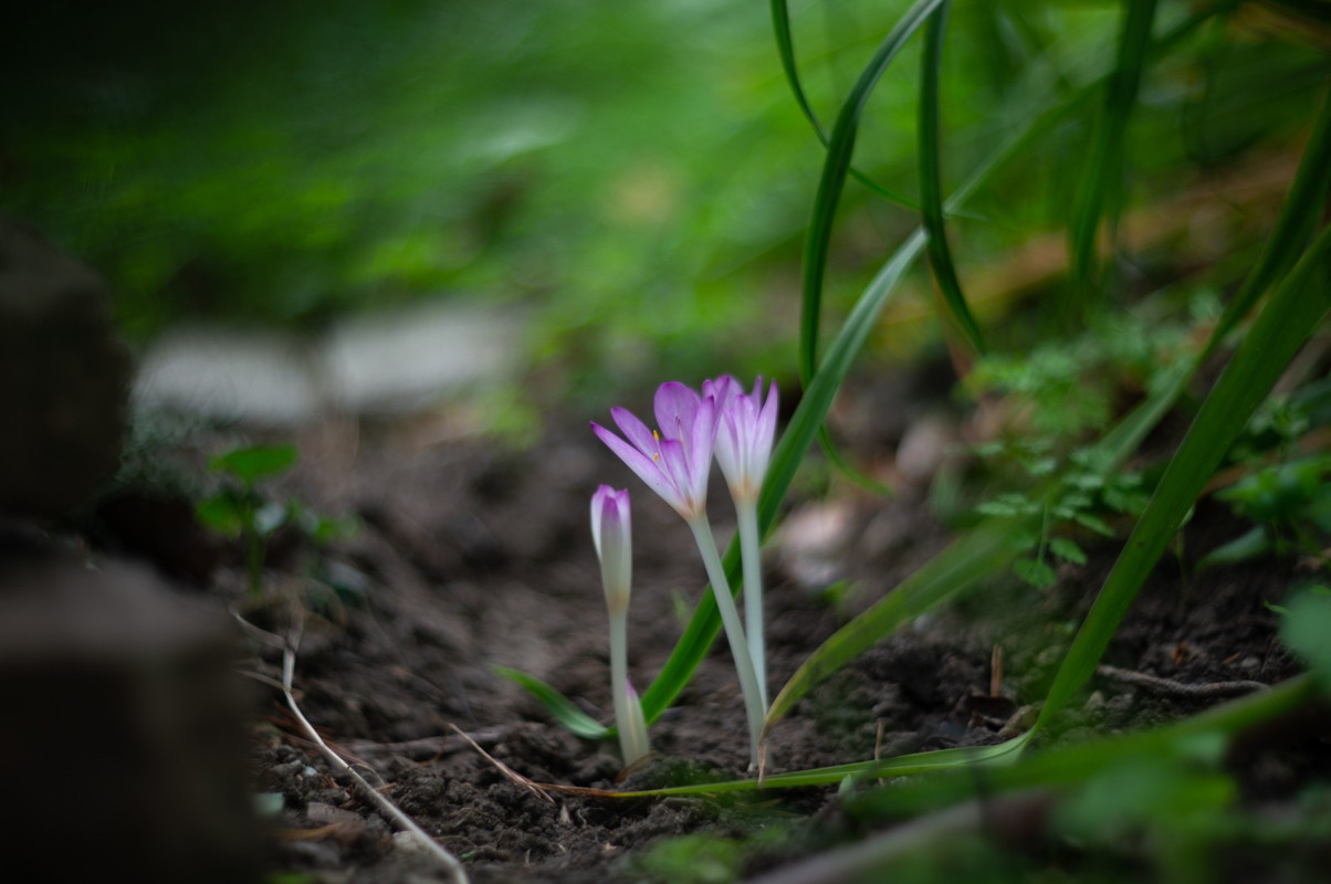 IMG-91cb02ac07650c64e47e04c509a78bdf-V