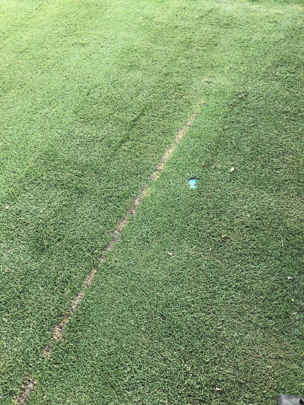 BC90BE9F-7B44-4031-9AA7-4254D8A58807