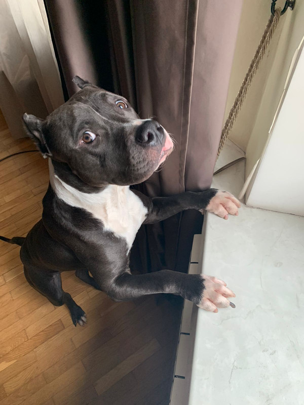 B3F92E3E-CC90-4C69-98BE-DA797E458F24