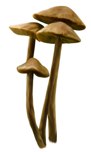 TADD_elements_ShimmerFall (55)