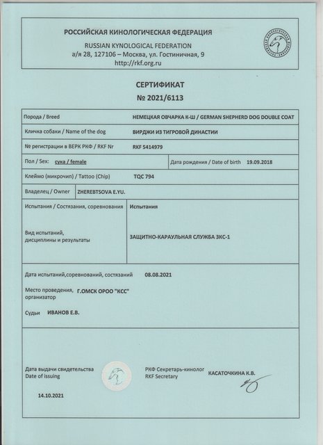 вирджи зкс 1 - 8.8.21