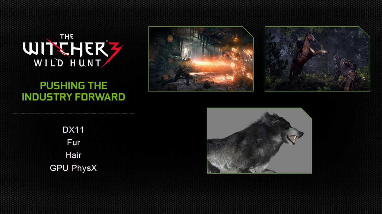 NVIDIA-Ge-Force-Witcher-3.jpg