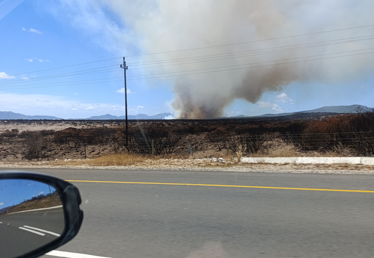 Такая близкая Африка. (ЮАР. 22 дня и 4200 км. Ноябрь-Декабрь)