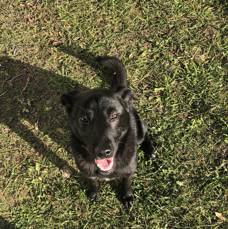 20929989-8226-43BF-B0C2-A0247068F790