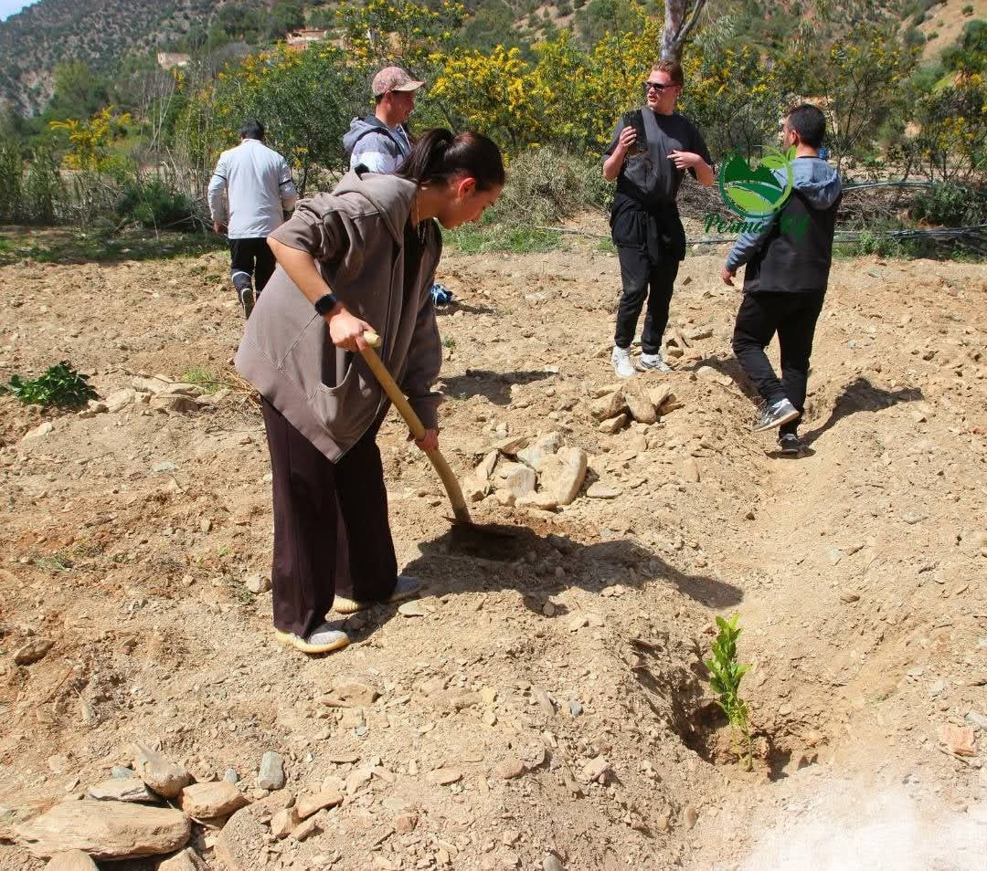 6c7aa6521249b2718c1268afd69cdfd5