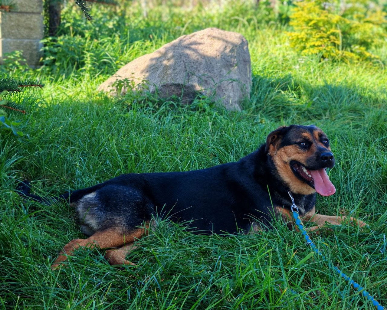 Kw Oc UHo Be C2Zjabg Ty4Gq6Pkh PMCm6c0dj L9knnf Fu SZV30m8e VPnf I7Iz OCSLXLOPLu J4Rzw06bn Kl3sy Hlz