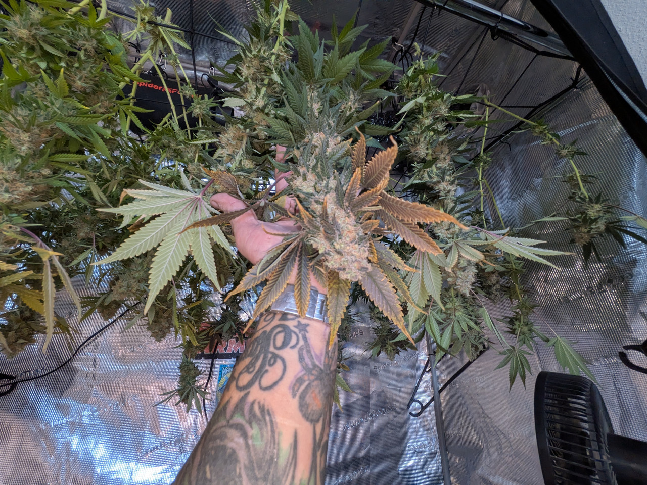 PXL 20260912 144129179