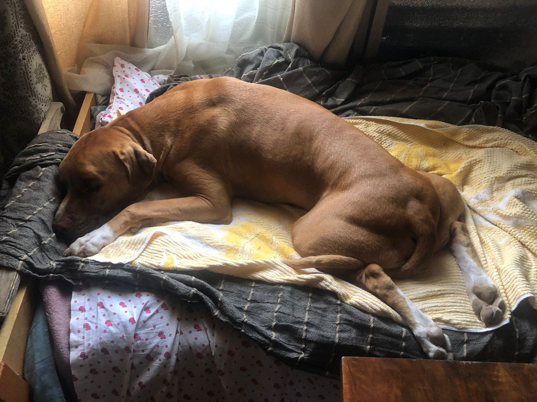 58DC9B5B-CEF1-4B42-84A2-E78091880357