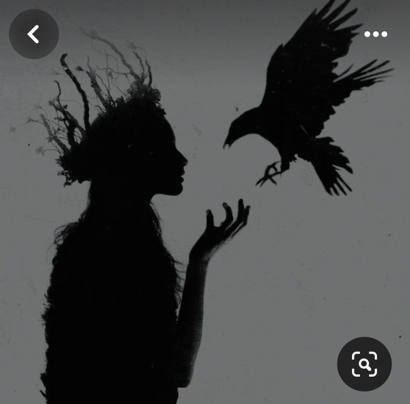 Screenshot_20240330_222950_Pinterest