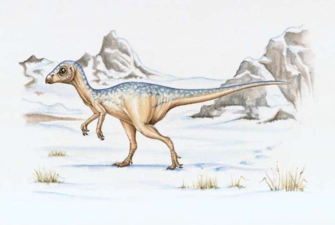 leaellynasaura