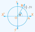 Unit Circle Trigonometric Solution