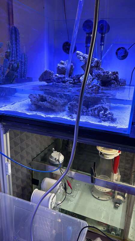 9A853B28-4311-4D71-9AD2-3CB450645BD6