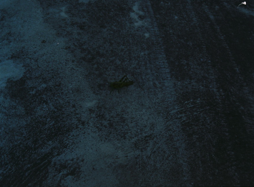 Vision3-HF-15-L-resize