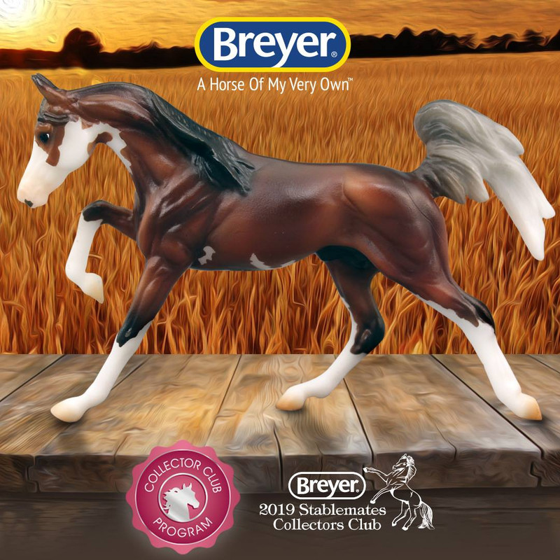 horse