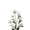 Stock-New-273