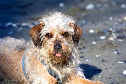 [Image: IMG-5342.jpg]