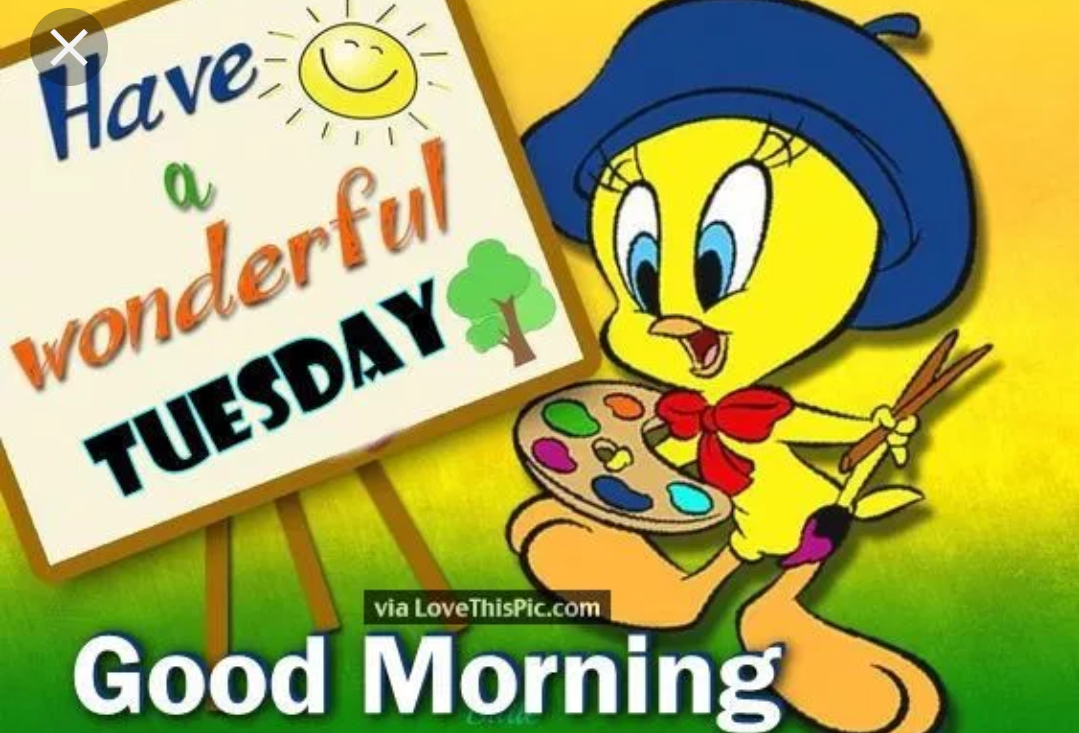 Have A Terrific Tuesday Girls
