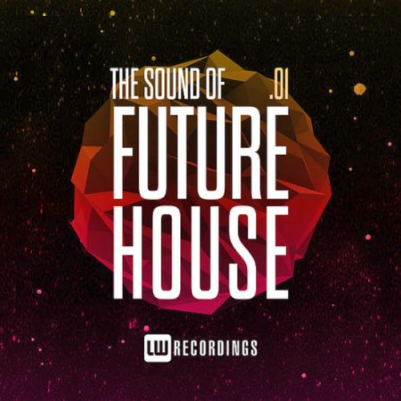 VA - The Sound Of Future House Vol. 01 (2020)
