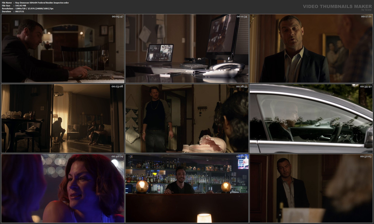 Ray Donovan S04e04 Federal Boobie Inspector.mkv