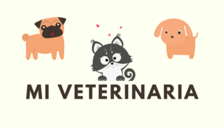 +ERP para Veterinarias