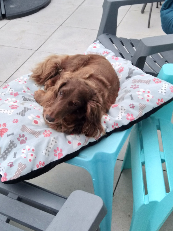 [Image: IMG-20220913-093622.jpg]