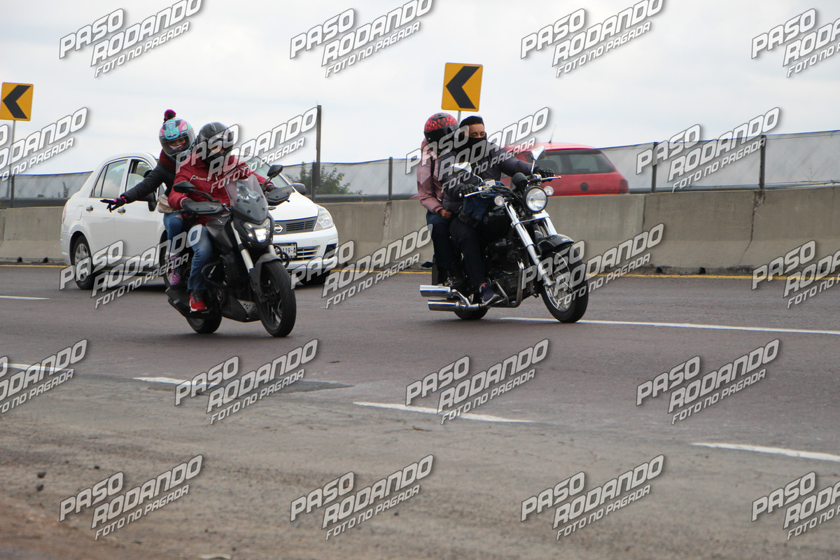 IMG 5341 wm 804179 5 watermarked — Postimages