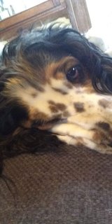 IMG-20190102-WA0002