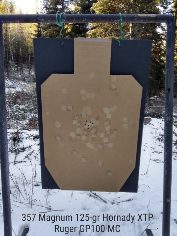 Hornady-125-gr-XTP.jpg
