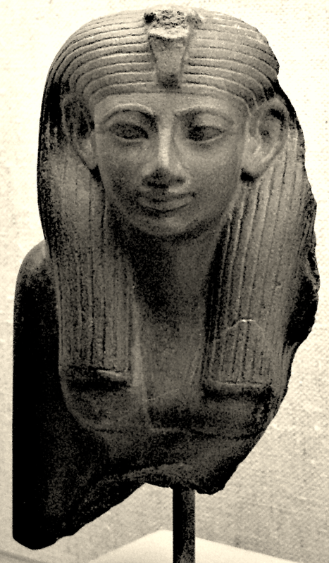 Kép