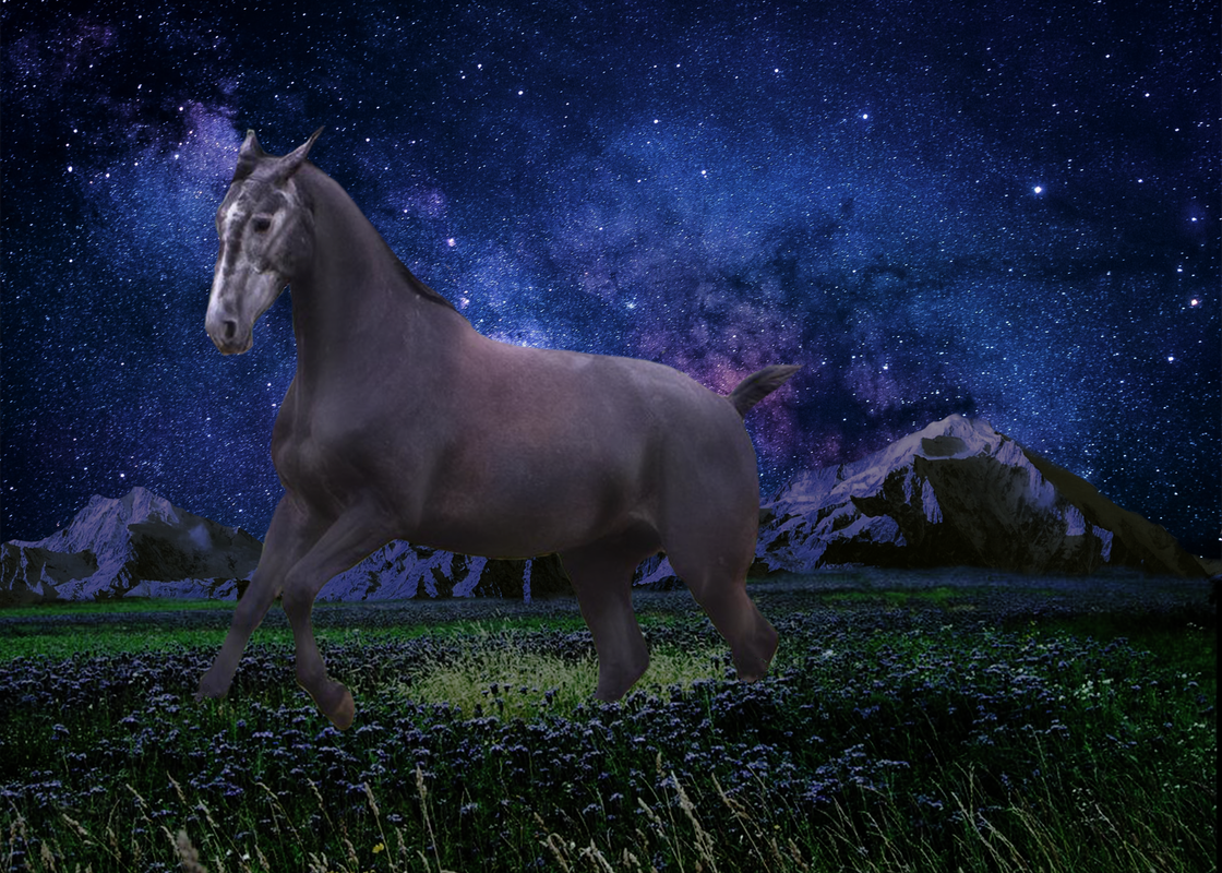 B889F008-E577-4D2E-91F3-8AC2141E28A0