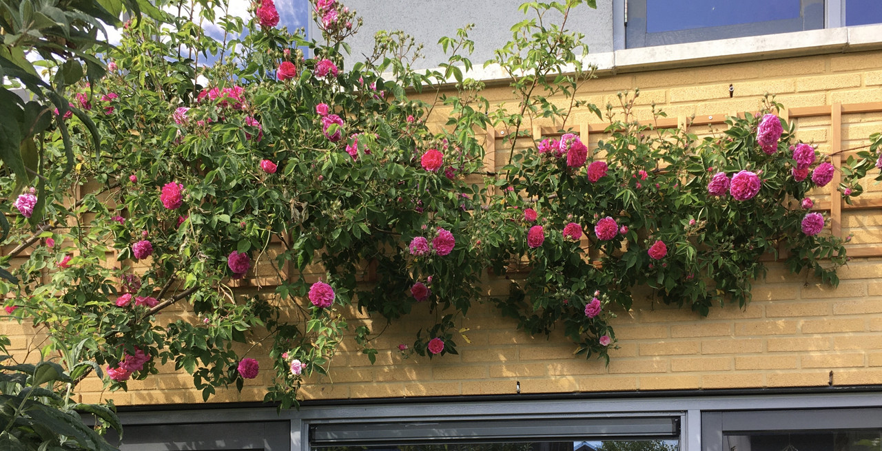 172F41C8-33BD-4311-ADDD-F5C0D7AC2CED