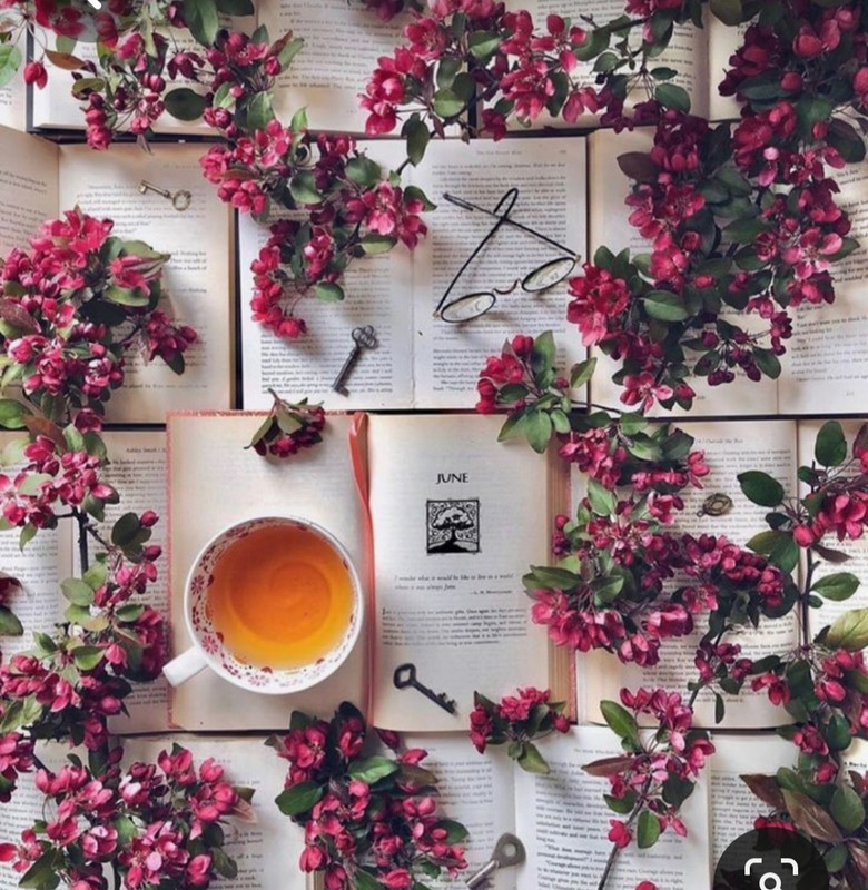 Screenshot_20230512_223439_Pinterest