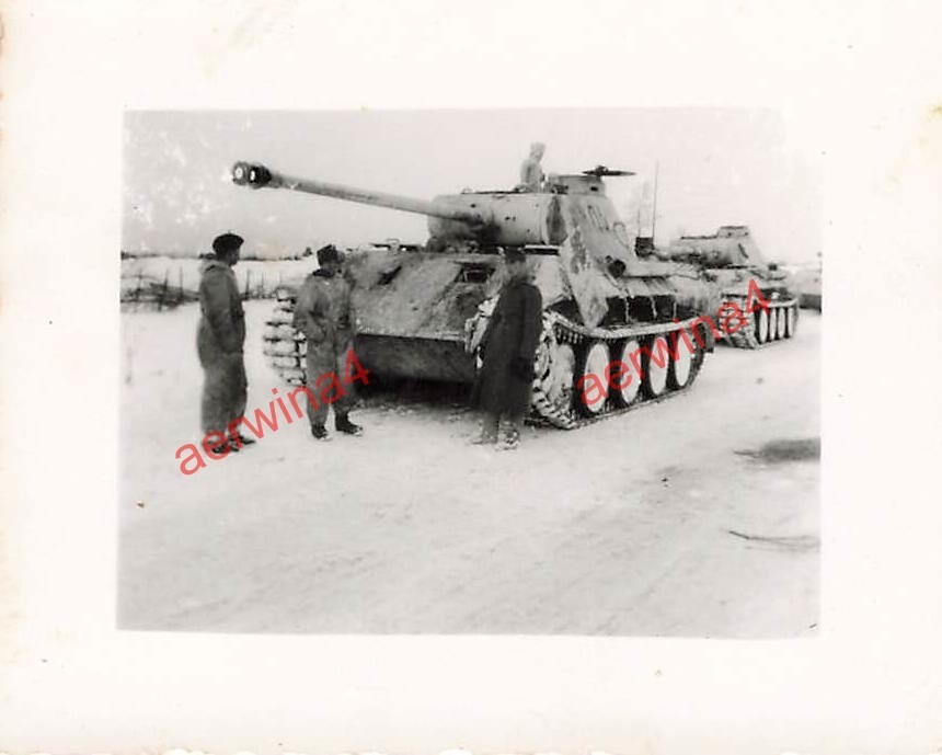 Deutscher Panzer V Panther im Wintertarnanstrich Mga Leningrad Front Ostfront