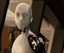 no-i-robot