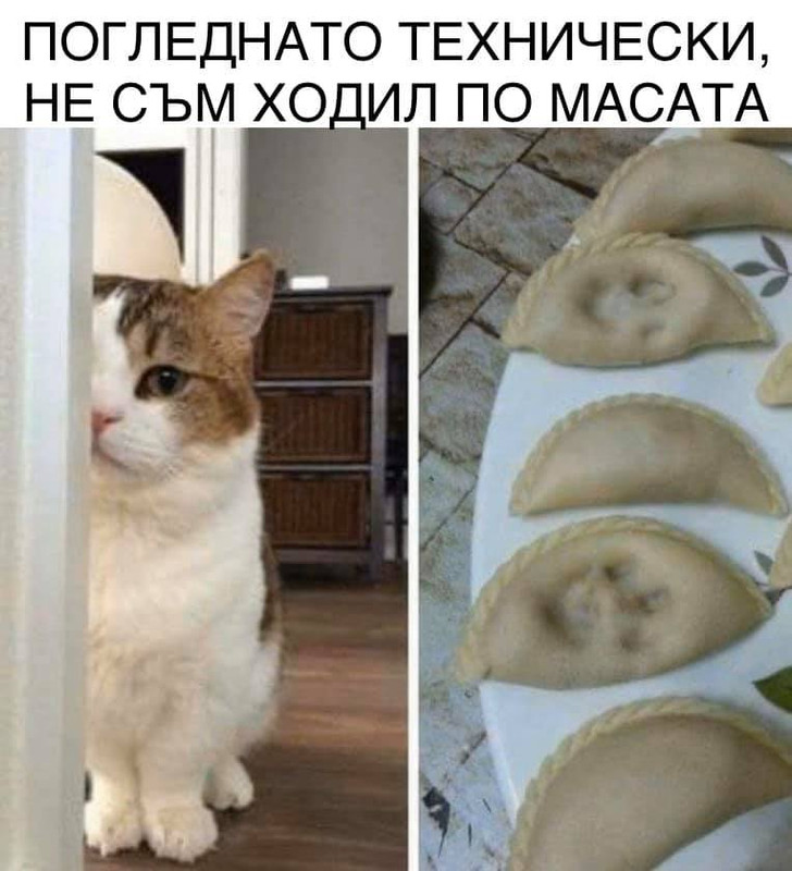 94264613_3288519347834716_6757453212812312576_n