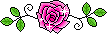 pink 162
