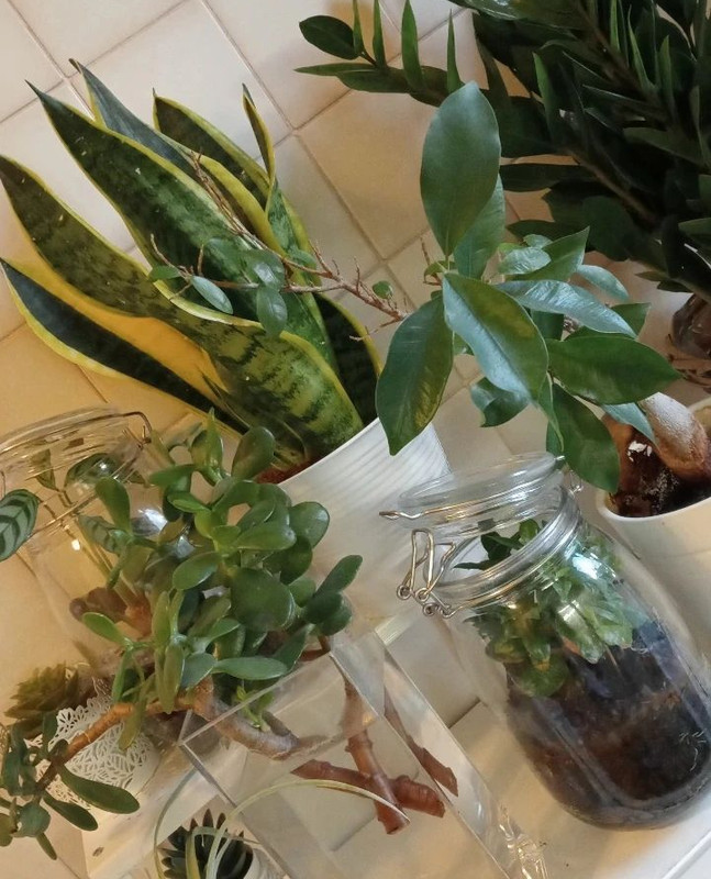 Screenshot_2024-04-04-07-48-42-71_1c337646f29875672b5a61192b9010f9